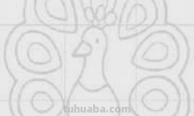 孔雀的简笔画怎么画(孔雀的简笔画怎么画孔雀的简笔) 孔雀的简笔画怎么画(孔雀的简笔画怎么画孔雀的简笔)