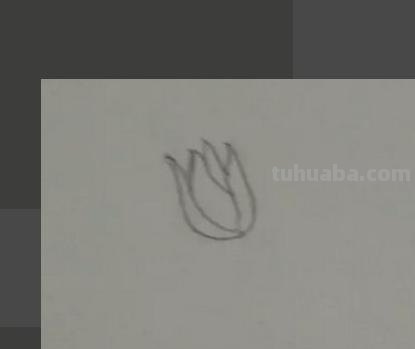 手抄报中的花怎么画(手抄报中的花怎么画好看) 手抄报中的花怎么画(手抄报中的花怎么画好看)