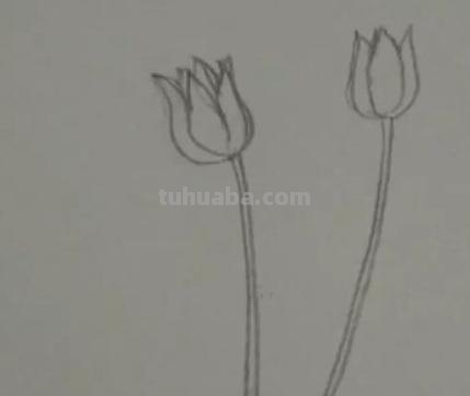 手抄报中的花怎么画(手抄报中的花怎么画好看) 手抄报中的花怎么画(手抄报中的花怎么画好看)