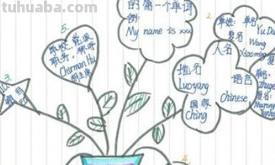 简单思维导图怎么画(简单思维导图怎么画图片) 简单思维导图怎么画(简单思维导图怎么画图片)