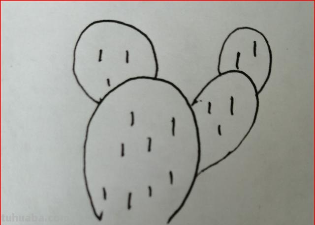 仙人掌怎么画简笔画(仙人掌怎么画简笔画又漂亮) 仙人掌怎么画简笔画(仙人掌怎么画简笔画又漂亮)