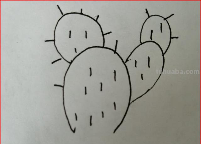 仙人掌怎么画简笔画(仙人掌怎么画简笔画又漂亮) 仙人掌怎么画简笔画(仙人掌怎么画简笔画又漂亮)