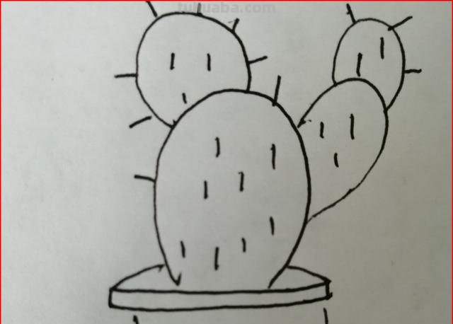 仙人掌怎么画简笔画(仙人掌怎么画简笔画又漂亮) 仙人掌怎么画简笔画(仙人掌怎么画简笔画又漂亮)