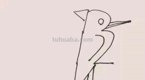 鸟怎么画简笔画图片(鸟怎么画简笔画图片大全) 鸟怎么画简笔画图片(鸟怎么画简笔画图片大全)