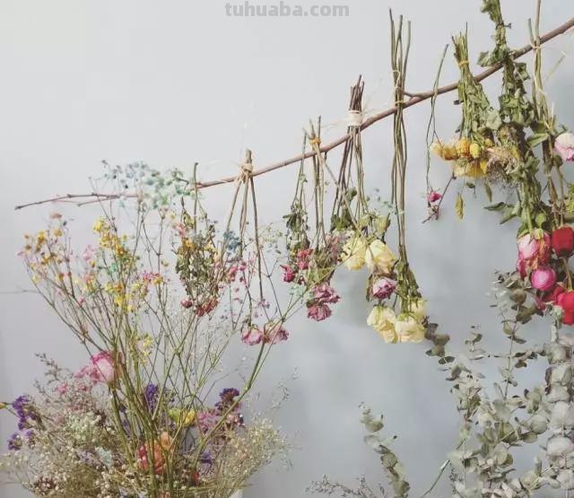 思维导图怎么做干花（思维导图怎么做干花视频）