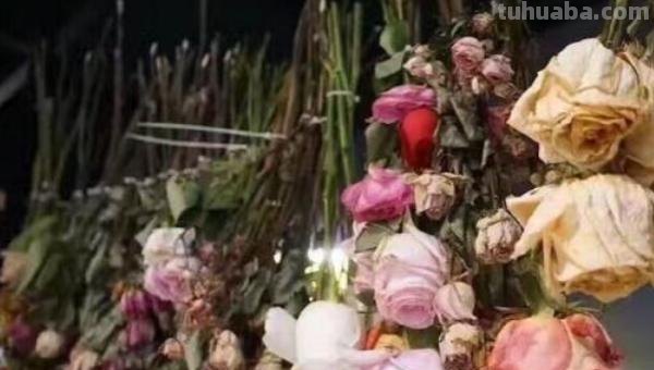 思维导图怎么做干花(思维导图怎么做干花视频) 思维导图怎么做干花(思维导图怎么做干花视频)