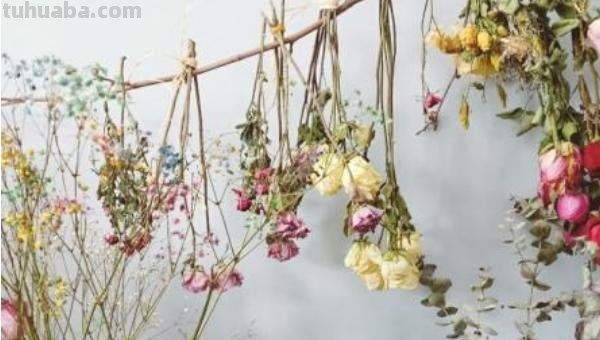 思维导图怎么做干花(思维导图怎么做干花视频) 思维导图怎么做干花(思维导图怎么做干花视频)