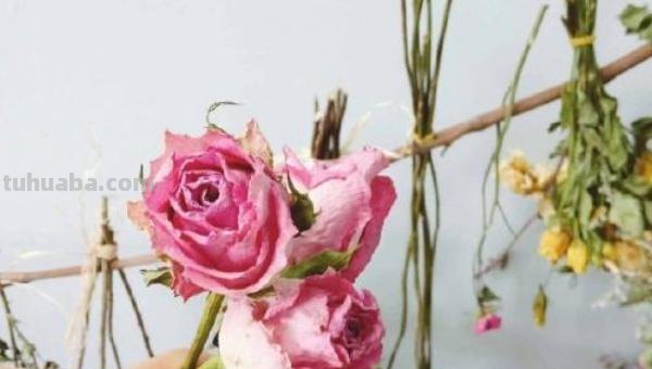 思维导图怎么做干花(思维导图怎么做干花视频) 思维导图怎么做干花(思维导图怎么做干花视频)
