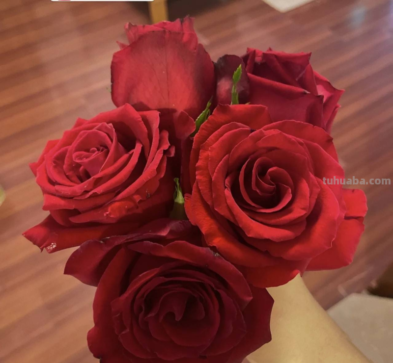 思维导图怎么做干花(思维导图怎么做干花视频) 思维导图怎么做干花(思维导图怎么做干花视频)