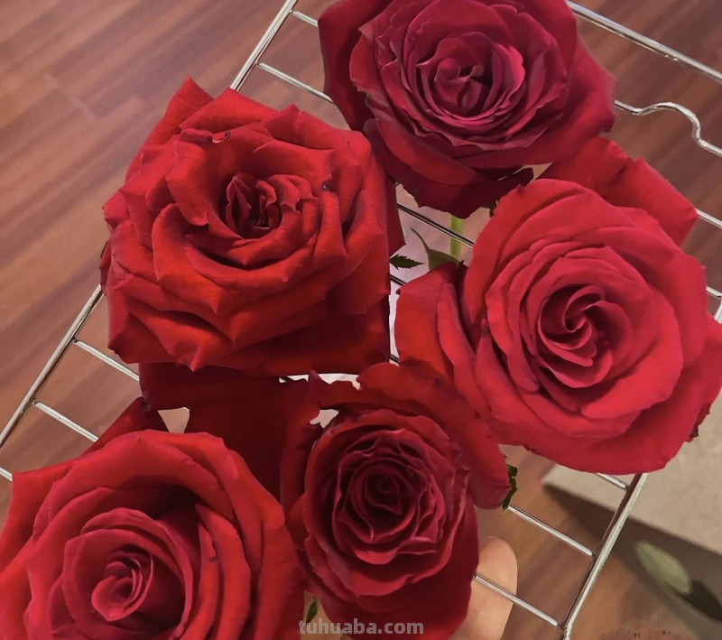 思维导图怎么做干花(思维导图怎么做干花视频) 思维导图怎么做干花(思维导图怎么做干花视频)