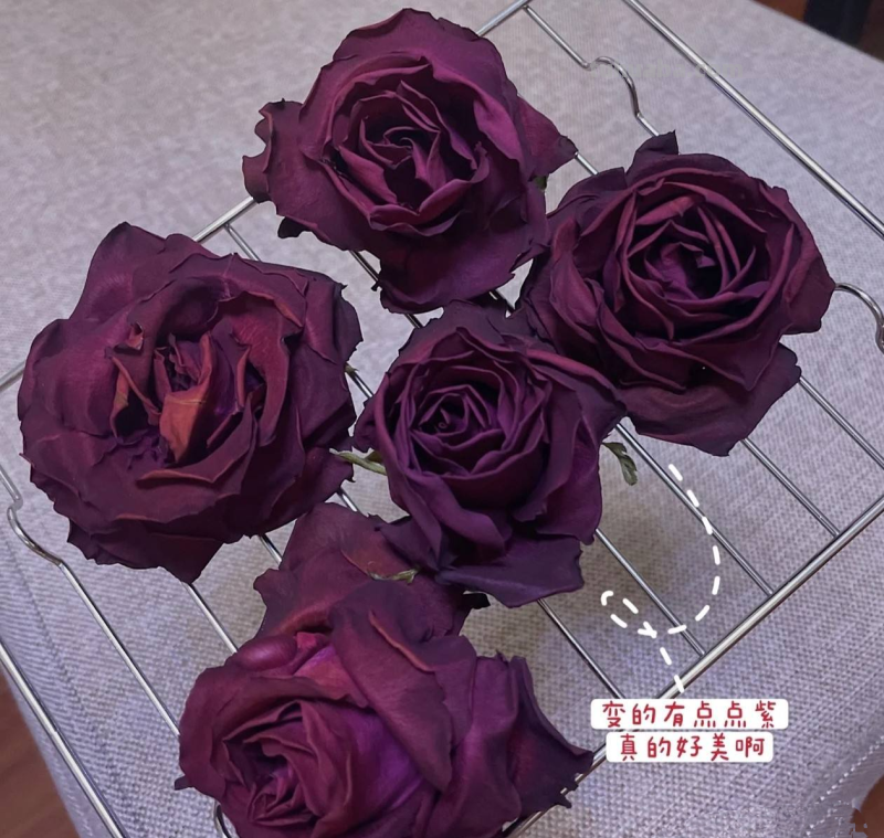 思维导图怎么做干花(思维导图怎么做干花视频) 思维导图怎么做干花(思维导图怎么做干花视频)