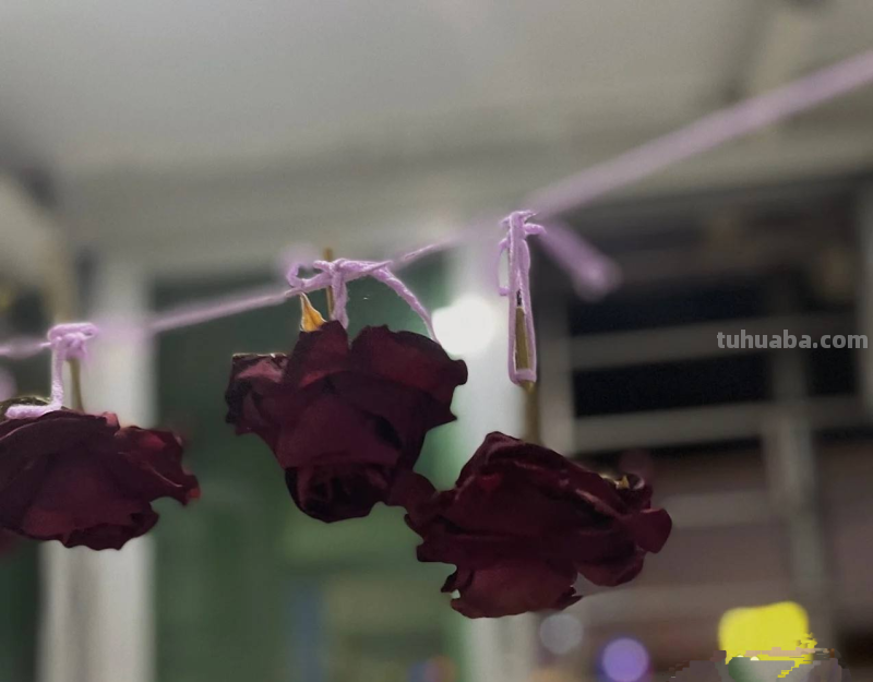 思维导图怎么做干花(思维导图怎么做干花视频) 思维导图怎么做干花(思维导图怎么做干花视频)