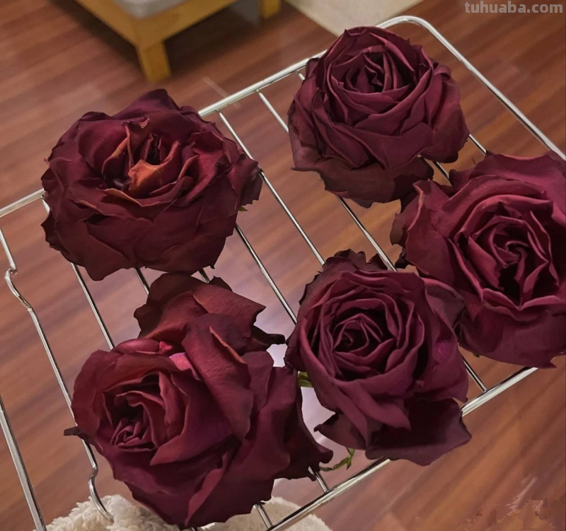 思维导图怎么做干花(思维导图怎么做干花视频) 思维导图怎么做干花(思维导图怎么做干花视频)