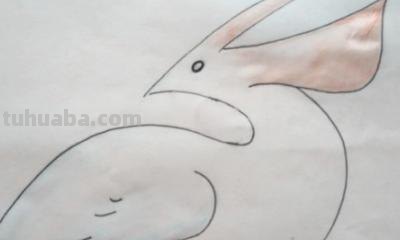鸵鸟怎么画简笔画(鸵鸟怎么画简笔画图片) 鸵鸟怎么画简笔画(鸵鸟怎么画简笔画图片)