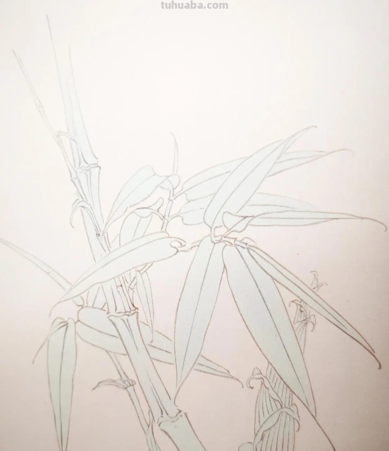 竹笋怎么画简笔画（竹子和竹笋怎么画简笔画）