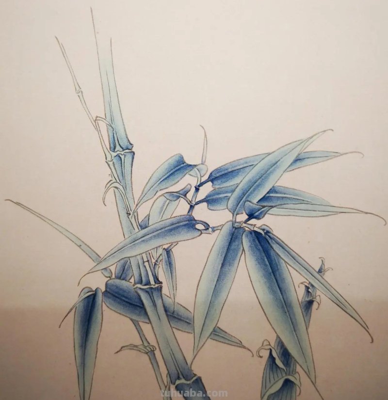竹笋怎么画简笔画(竹子和竹笋怎么画简笔画) 竹笋怎么画简笔画(竹子和竹笋怎么画简笔画)