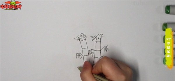 竹笋怎么画简笔画(竹子和竹笋怎么画简笔画) 竹笋怎么画简笔画(竹子和竹笋怎么画简笔画)