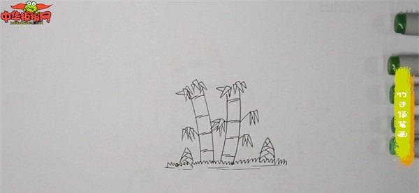 竹笋怎么画简笔画(竹子和竹笋怎么画简笔画) 竹笋怎么画简笔画(竹子和竹笋怎么画简笔画)