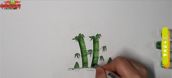 竹笋怎么画简笔画(竹子和竹笋怎么画简笔画) 竹笋怎么画简笔画(竹子和竹笋怎么画简笔画)