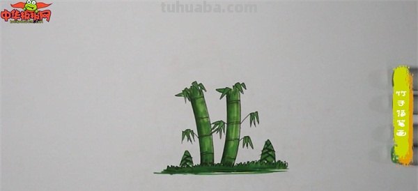 竹笋怎么画简笔画(竹子和竹笋怎么画简笔画) 竹笋怎么画简笔画(竹子和竹笋怎么画简笔画)