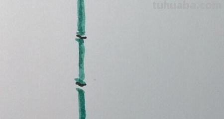 竹笋怎么画简笔画(竹子和竹笋怎么画简笔画) 竹笋怎么画简笔画(竹子和竹笋怎么画简笔画)