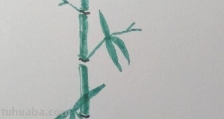 竹笋怎么画简笔画(竹子和竹笋怎么画简笔画) 竹笋怎么画简笔画(竹子和竹笋怎么画简笔画)
