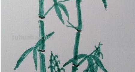竹笋怎么画简笔画(竹子和竹笋怎么画简笔画) 竹笋怎么画简笔画(竹子和竹笋怎么画简笔画)