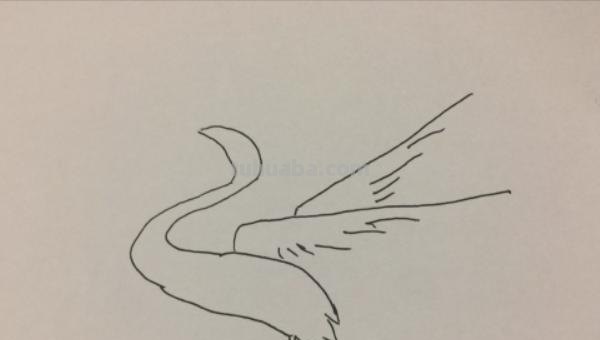 白鹭简笔画怎么画(白鹭简笔画怎么画儿童) 白鹭简笔画怎么画(白鹭简笔画怎么画儿童)