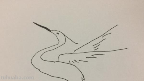 白鹭简笔画怎么画(白鹭简笔画怎么画儿童) 白鹭简笔画怎么画(白鹭简笔画怎么画儿童)