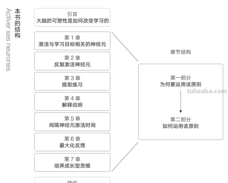 读书笔记：《激活你的学习脑》1