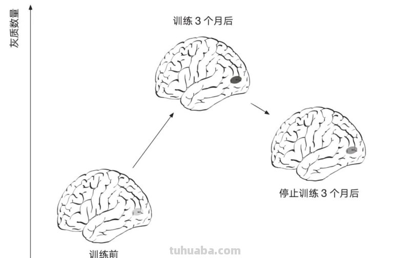 读书笔记：《激活你的学习脑》1