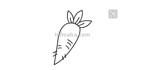 豆角怎么画简笔画(豆角怎么画简笔画图片大全) 豆角怎么画简笔画(豆角怎么画简笔画图片大全)