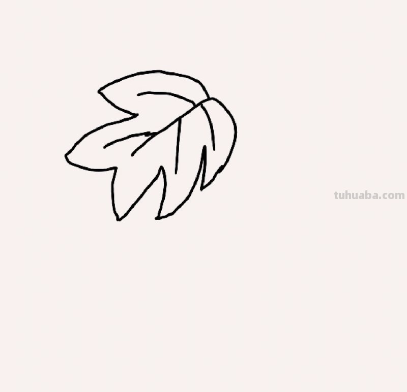 葡萄的简笔画怎么画（葡萄的简笔画怎么画最简单的）
