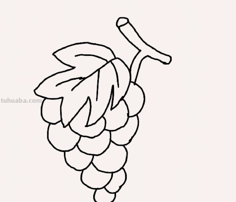 葡萄的简笔画怎么画(葡萄的简笔画怎么画最简单的) 葡萄的简笔画怎么画(葡萄的简笔画怎么画最简单的)