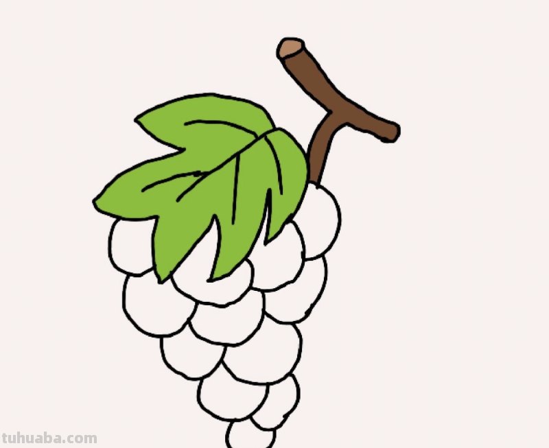 葡萄的简笔画怎么画(葡萄的简笔画怎么画最简单的) 葡萄的简笔画怎么画(葡萄的简笔画怎么画最简单的)
