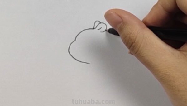 小仓鼠怎么画简笔画（小仓鼠怎么画简笔画,简单可爱又萌）