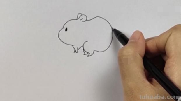 小仓鼠怎么画简笔画(小仓鼠怎么画简笔画,简单可爱又萌) 小仓鼠怎么画简笔画(小仓鼠怎么画简笔画,简单可爱又萌)