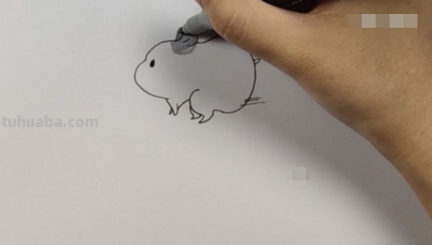 小仓鼠怎么画简笔画(小仓鼠怎么画简笔画,简单可爱又萌) 小仓鼠怎么画简笔画(小仓鼠怎么画简笔画,简单可爱又萌)