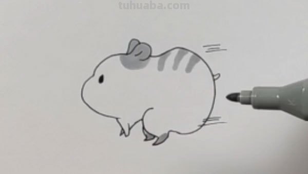 小仓鼠怎么画简笔画(小仓鼠怎么画简笔画,简单可爱又萌) 小仓鼠怎么画简笔画(小仓鼠怎么画简笔画,简单可爱又萌)