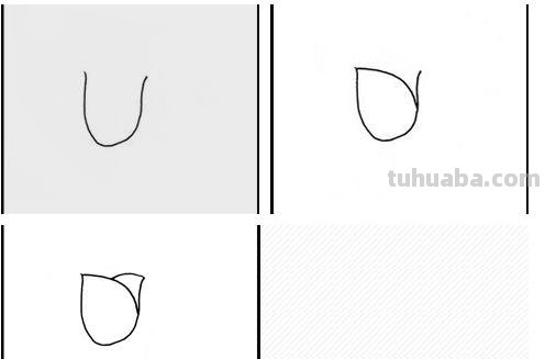 郁金香怎么画简笔画（郁金香怎么画简笔画又漂亮）