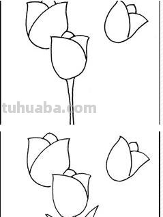 郁金香怎么画简笔画(郁金香怎么画简笔画又漂亮) 郁金香怎么画简笔画(郁金香怎么画简笔画又漂亮)