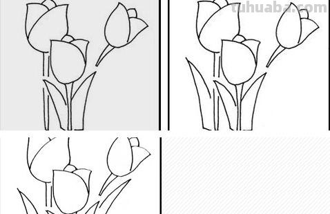 郁金香怎么画简笔画(郁金香怎么画简笔画又漂亮) 郁金香怎么画简笔画(郁金香怎么画简笔画又漂亮)