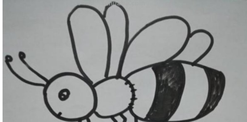 小蜜蜂怎么画简笔画(小蜜蜂怎么画简笔画图片) 小蜜蜂怎么画简笔画(小蜜蜂怎么画简笔画图片)