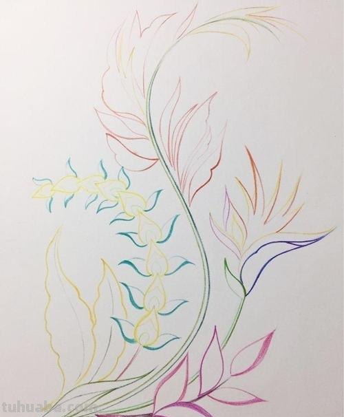 黄花怎么画彩铅(黄花怎么画彩铅画) 黄花怎么画彩铅(黄花怎么画彩铅画)