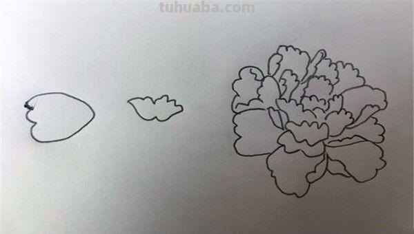 牡丹花怎么画简笔画(牡丹花怎么画简笔画 儿童) 牡丹花怎么画简笔画(牡丹花怎么画简笔画 儿童)