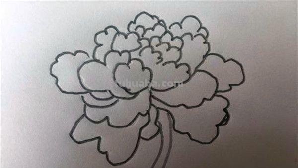 牡丹花怎么画简笔画(牡丹花怎么画简笔画 儿童) 牡丹花怎么画简笔画(牡丹花怎么画简笔画 儿童)
