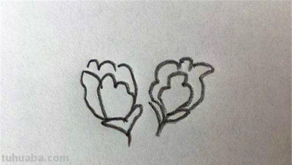 牡丹花怎么画简笔画(牡丹花怎么画简笔画 儿童) 牡丹花怎么画简笔画(牡丹花怎么画简笔画 儿童)