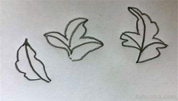 牡丹花怎么画简笔画(牡丹花怎么画简笔画 儿童) 牡丹花怎么画简笔画(牡丹花怎么画简笔画 儿童)