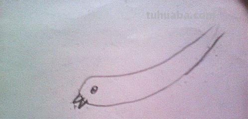 小燕子怎么画简笔画(小燕子怎么画简笔画 一步一步) 小燕子怎么画简笔画(小燕子怎么画简笔画 一步一步)