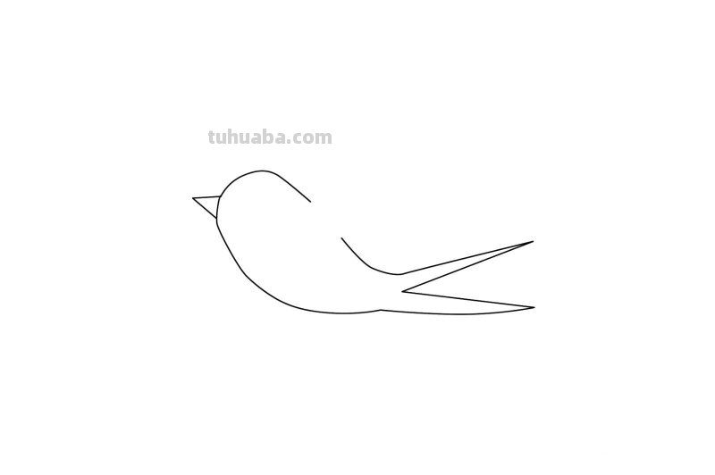 小燕子怎么画简笔画(小燕子怎么画简笔画 一步一步) 小燕子怎么画简笔画(小燕子怎么画简笔画 一步一步)